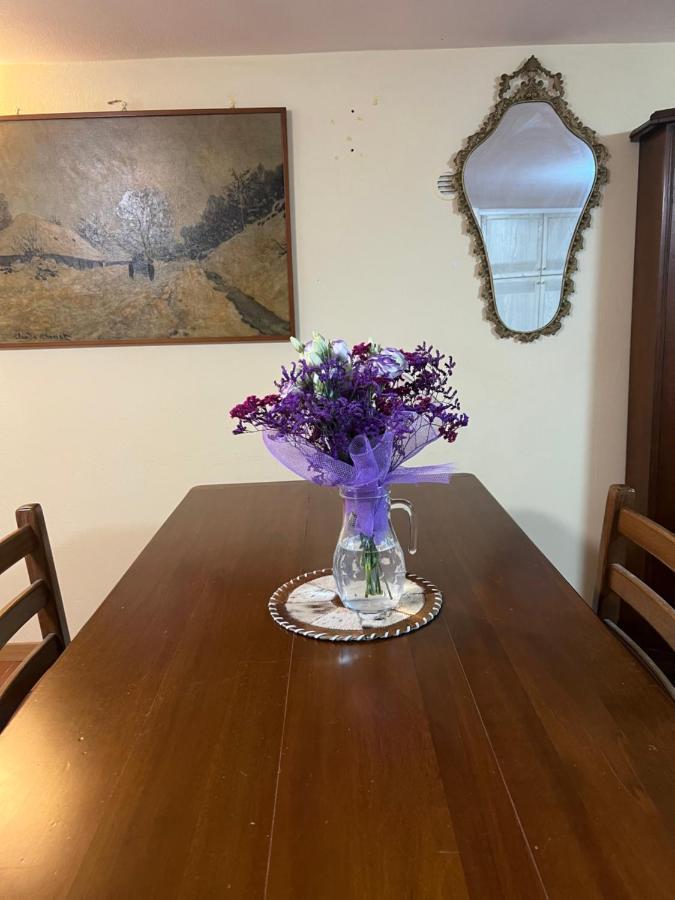 Appartamento Cozy House Giulia, Wi - Fi , Parking Ravenna Esterno foto